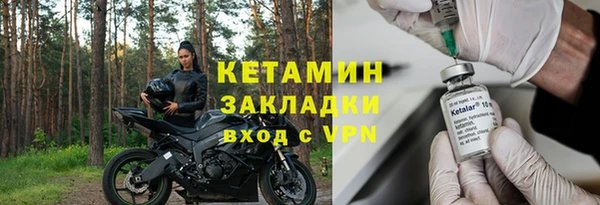 стаф Алзамай