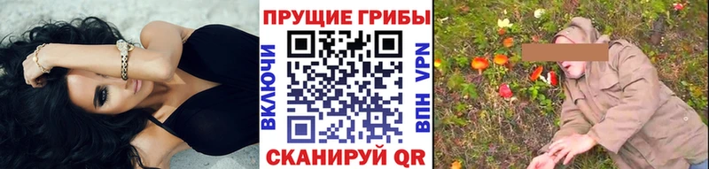 Галлюциногенные грибы мухоморы  даркнет сайт  Алексин 